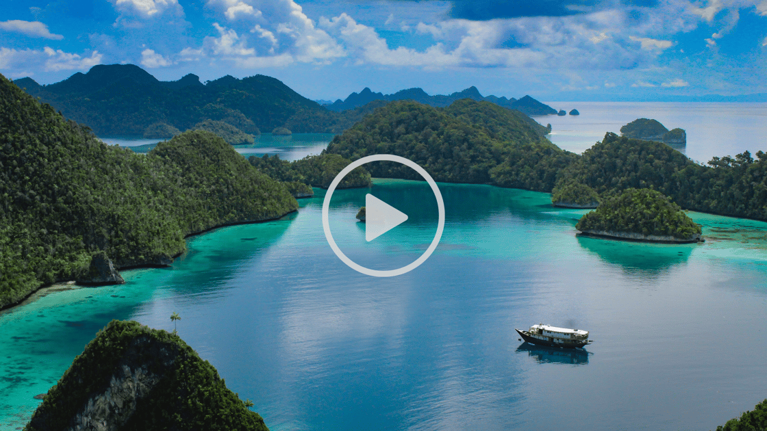 Untitled Design-Jul-07-2020-06-28-02-27-AM