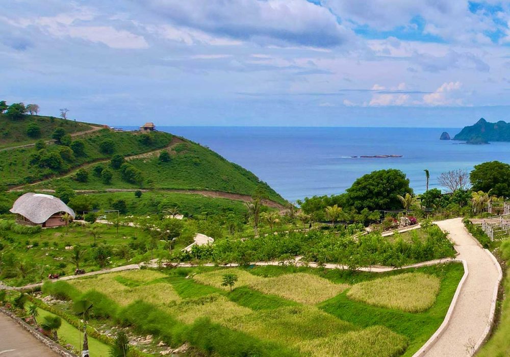 1-Cycling-(drone)-23