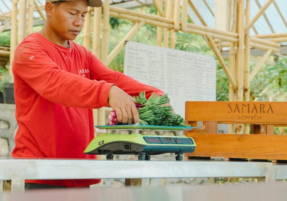 Packaging Vegetables 03