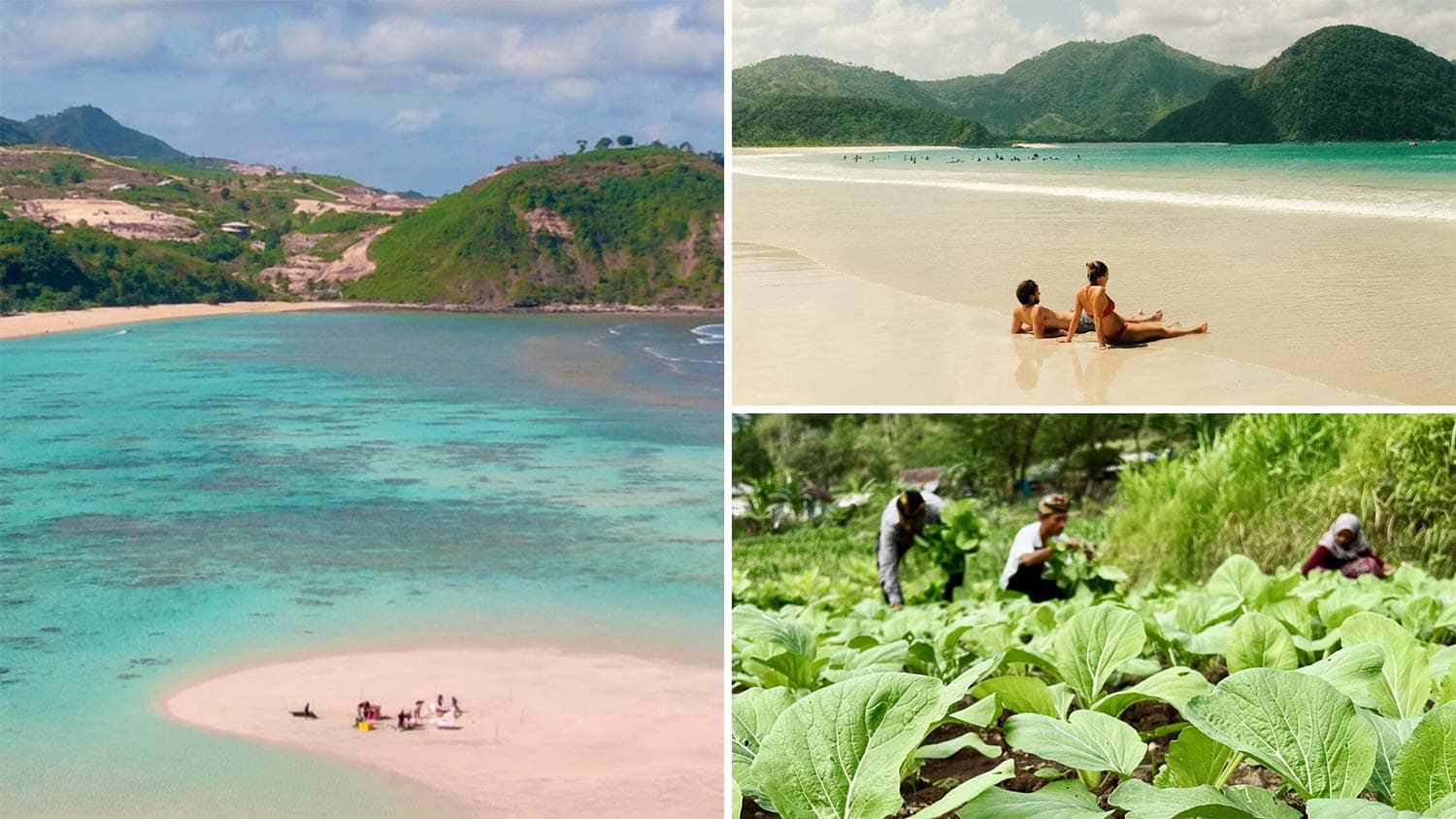 The-island-experience-4